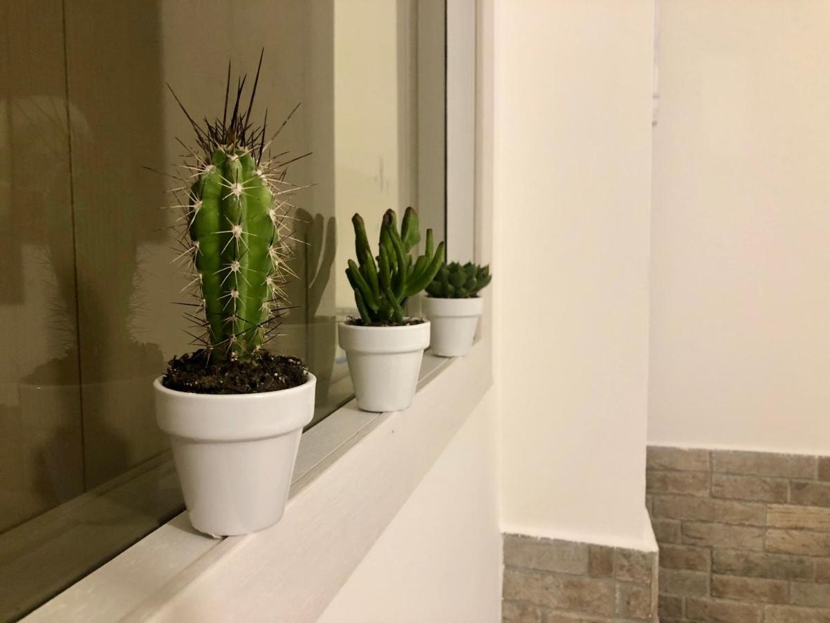 Sweet Home Ludovica Porto Torres Ngoại thất bức ảnh